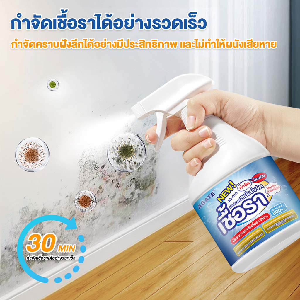 สเปรย์กำจัดเชื้อรากำแพง 