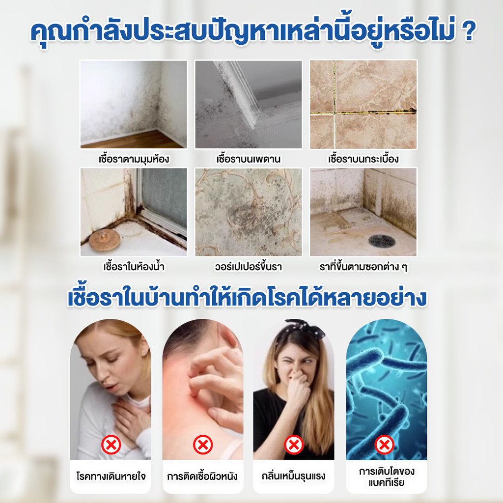 สเปรย์กำจัดเชื้อรากำแพง  2