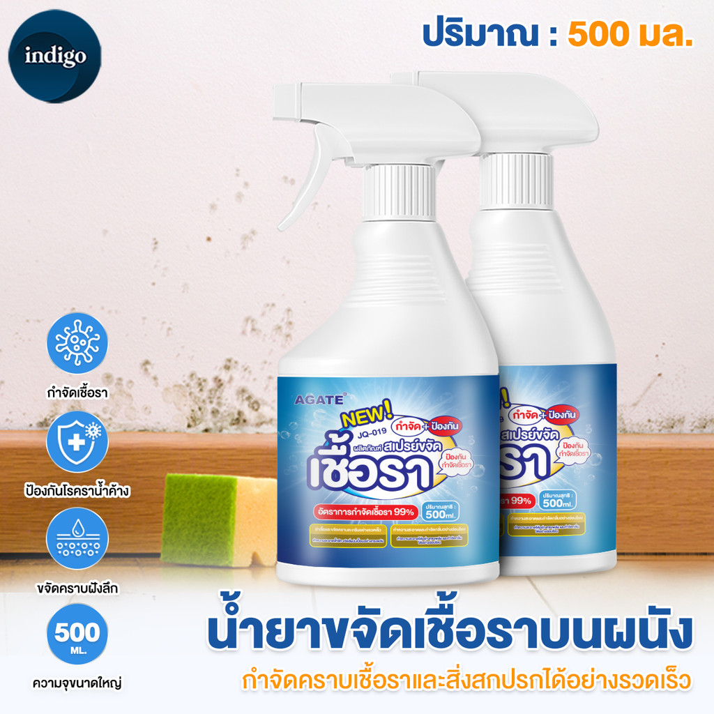 สเปรย์กำจัดเชื้อรากำแพง  3