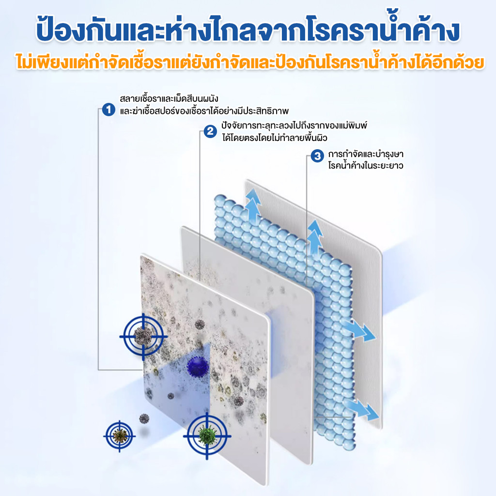 สเปรย์กำจัดเชื้อรากำแพง  4