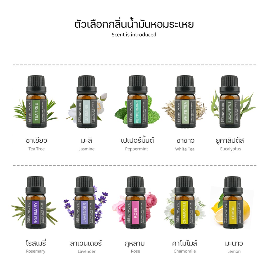 น้ำมันหอมระเหย 2