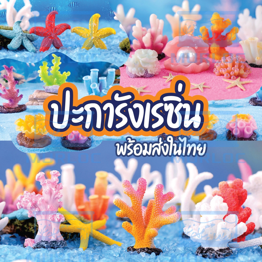 ดอกไม้ทะเล