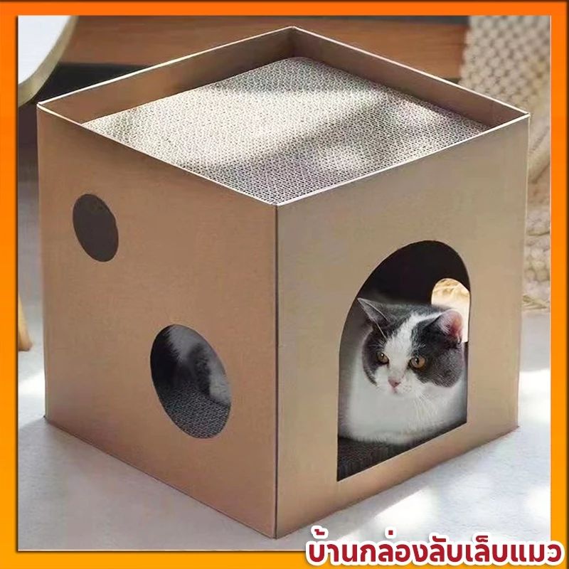  กล่องบ้านแมว 