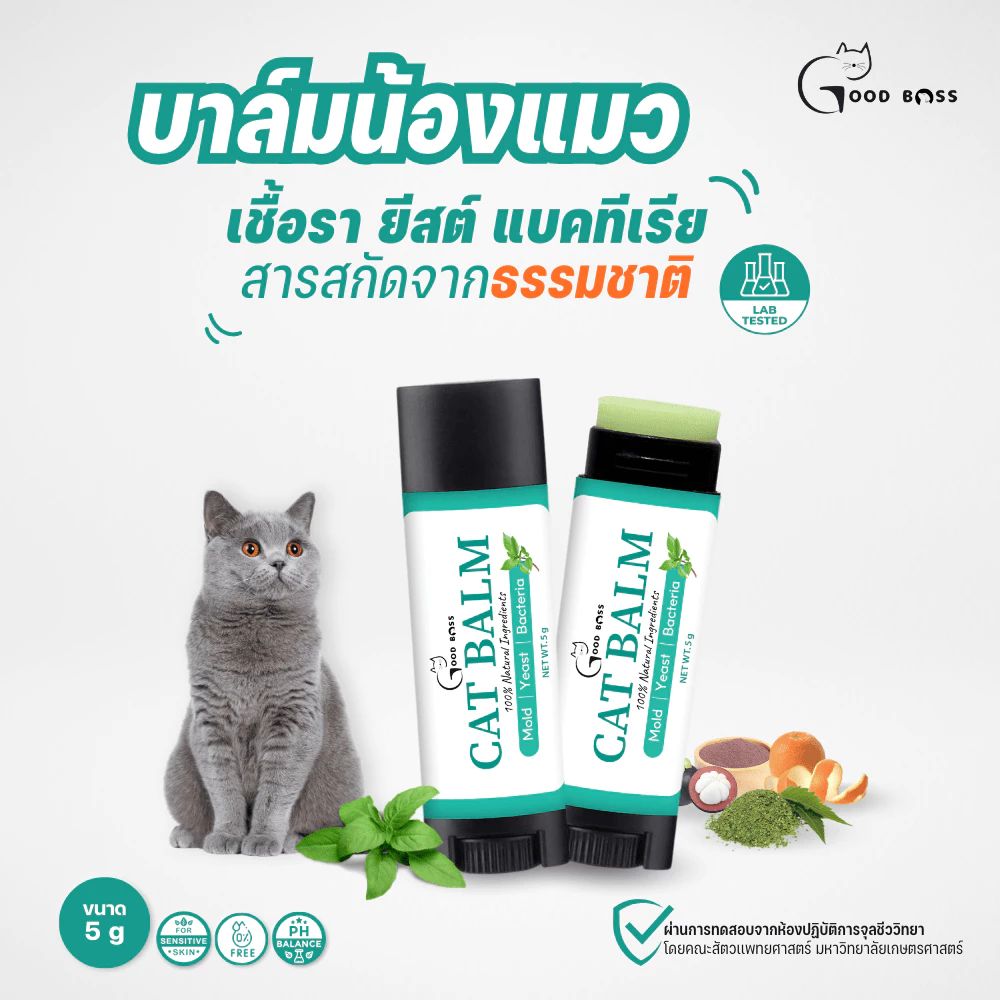 บาล์มแมว